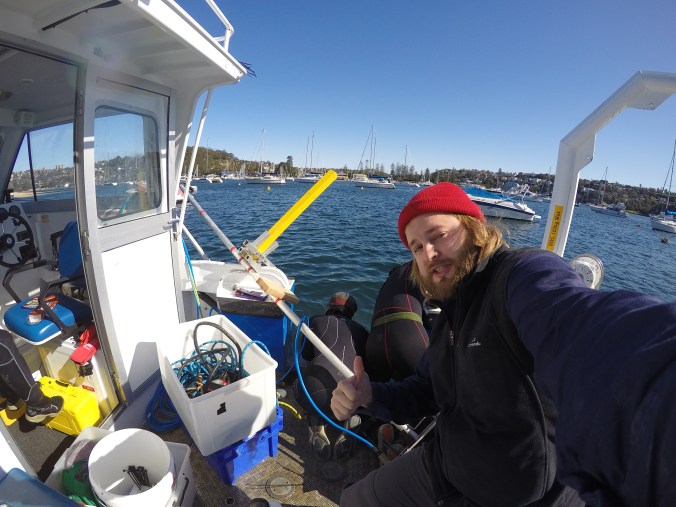 DCIM100GOPROGOPR0010.