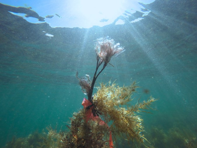 DCIM100GOPROGOPR0018.